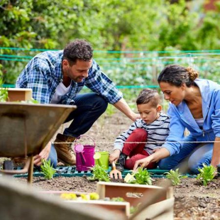Jardinería